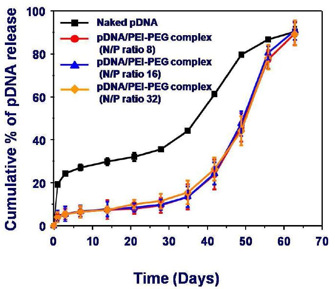 소수성 PLGA 지지체에 탑재된 plasmid DNA 및 Plasmid DNA/PEI-PEG complex의 방출거동.