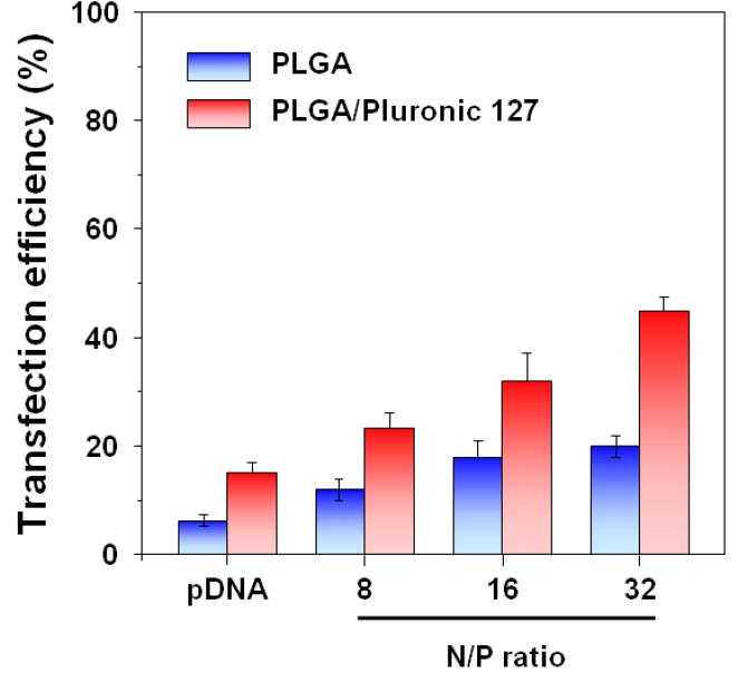 소수성 PLGA 및 친수성 PLGA/Pluronic F127 지지체로부터 방출된 Plasmid DNA 혹은 plasmid DNA/PEI-PEG complex의 골수줄기세포 내로의 이입 효율.