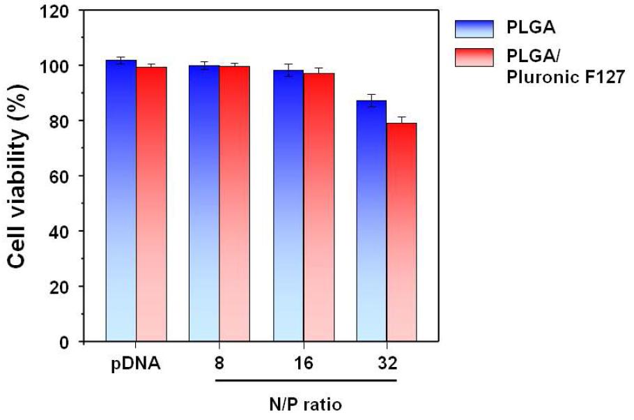 소수성 PLGA 및 친수성 PLGA/Pluronic F127 지지체로부터 방출된 Plasmid DNA 혹은 plasmid DNA/PEI-PEG complex에 의한 세포독성.