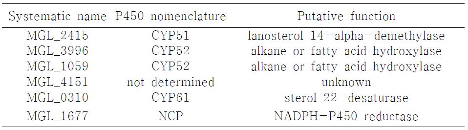 Putative P450 genes in M. globosa strain