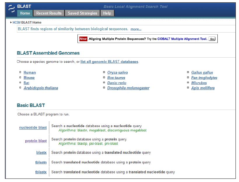 Website of NCBI BLAST (blast.ncbi.nlm.nih.gov)