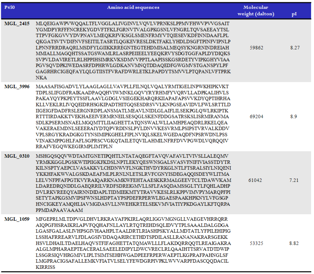Amino acid sequence, molecular weight and isoelectric point (pI) of Malassezia P450 proteins.
