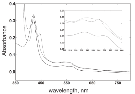 Absolute spectra of purified M. globosa MGL_2415 (CYP51).
