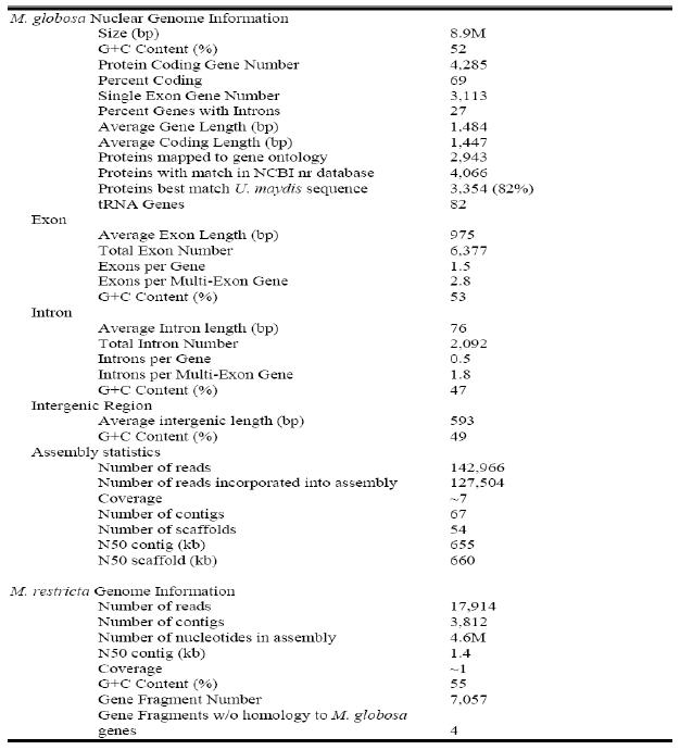 Malassezia genome features