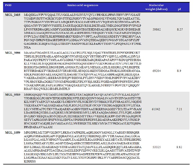 Amino acid sequence, molecular weight and isoelectric point (pI) of MalasseziaP450 proteins.