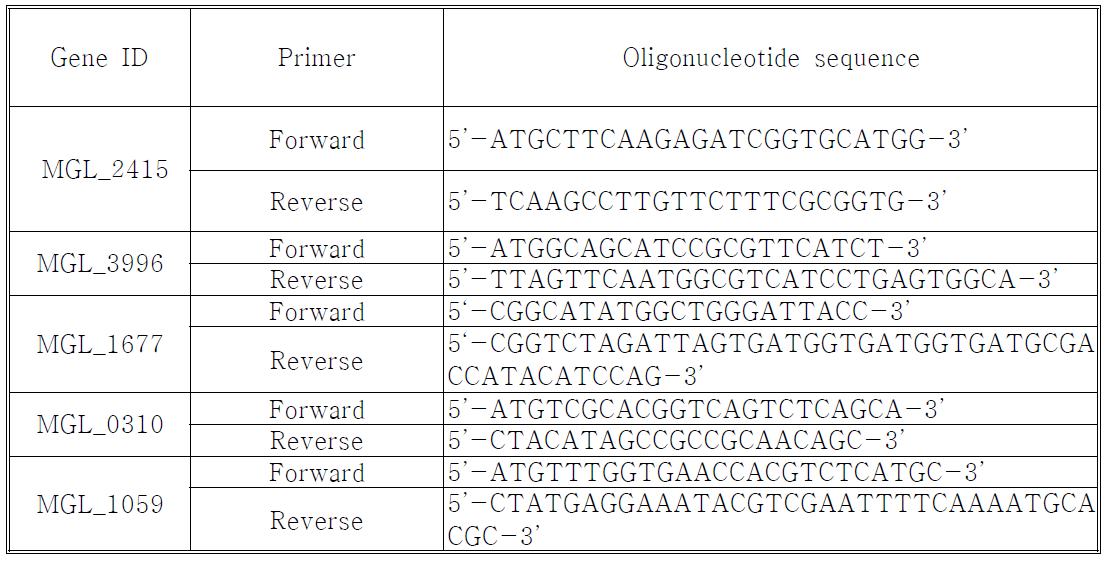 Primers for amplifying putative M. globosa P450 genes from genomic DNA.