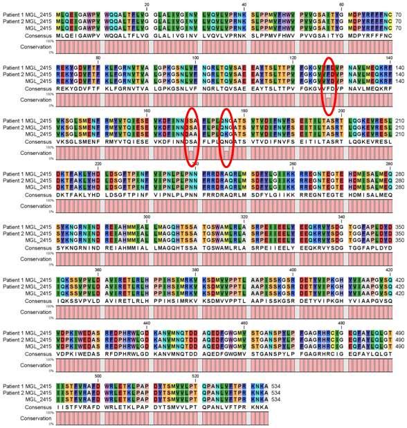Amino acid sequence alignment of MGL_2415 and its variant.