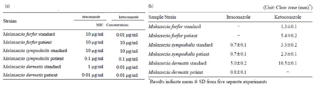 M. furfur, M. sympodialis 와 M. dermatis의 표준균주와 환자 균주에 대한 itraconazole과 ketoconazole 항균력 시험
