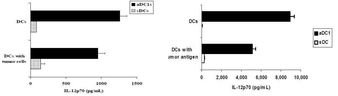 표준수지상세포 (sDCs)와 강력한 수지상세포 (αDC1s)의 제조동안 생산된 IL-12p70 (좌측) CD40L-transfected J558 세포 자극에 의해 생산된 IL-12p70 (우측)의 발현.