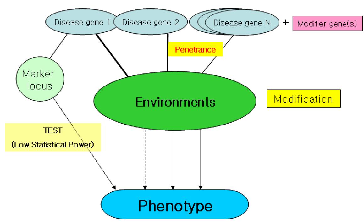 표현형에 영향을 미치는 요인들의 상호작용