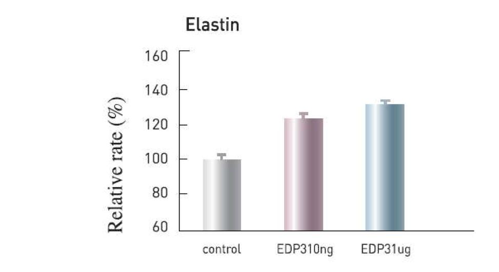 EDP3에 의한 elastin의 발현량 증가.