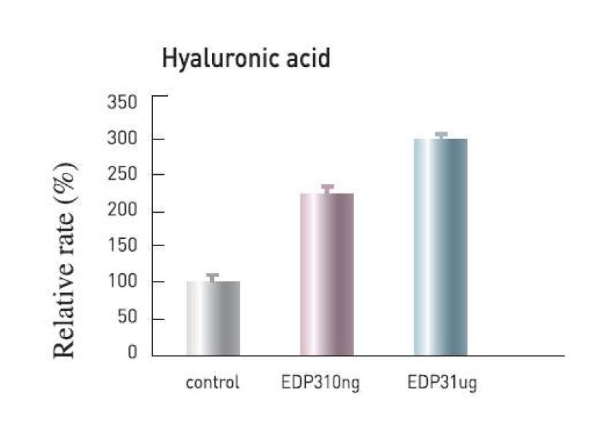 EDP3에 의한 hyaluronic acid의 발현량 증가.