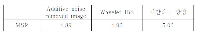 Source 잡음이 제거된 영상의 MSR