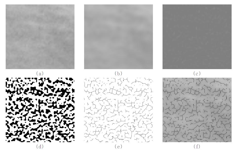 골소주 패턴 분석을 위한 영상 처리 절차 ((a) Original Image, (b) Gaussian Filter, (c) Subtraction+Add 128 (d) Binarization, (e) Morphological Filter, (f) Skeletonized Image)