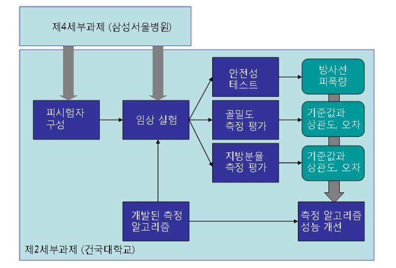 임상 실험 과정