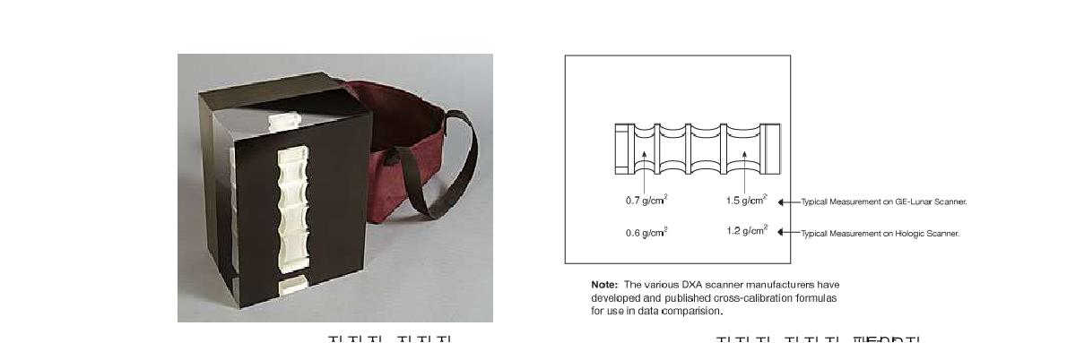실험에 사용된 그림 II-7. 실험에 사용된 DEXA용