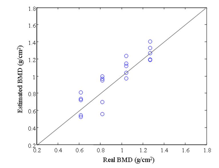 이중 에너지 흡수 방식으로 측정된 골밀도 (y축) 와 실제 골밀도 (x축).