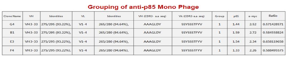 Grouping of anti-p85 Mono Phage
