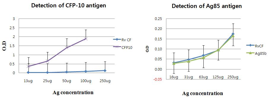 sandwich ELISA로 측정한 Anti-CFP-10항체와 Anti-Ag85 항체의 항원검출능력