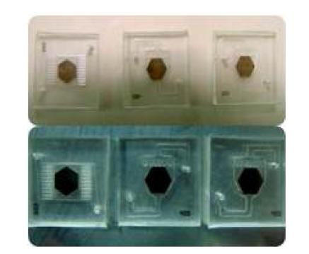 PDMS 채널과 금박막이 도포된 Glass를 접합하여 제작한 SPR 진단 칩