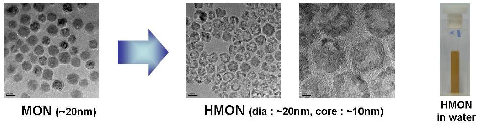 HMON 나오입자의 TEM 사진과 HMON이 수용액에 분산된 사진