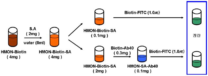 HMON 나노입자의 표면에 연결된 Aβ40를 정량하는 과정