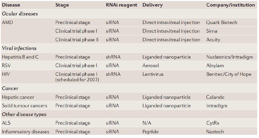 siRNA 기반의 치료제 개발 사항
