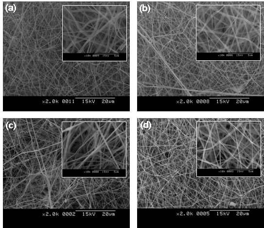 PLLA nanofiber 지지체의 SEM image.