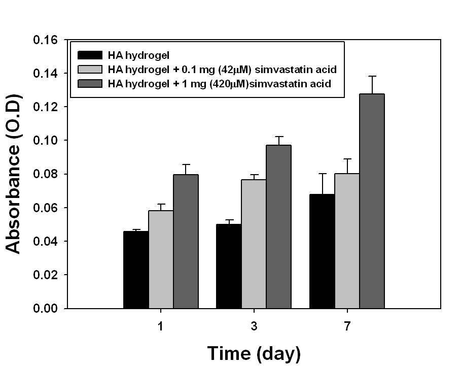 Simvastatin acid를 immobilization한 하이드로젤의 ADSCs의 세포분화도