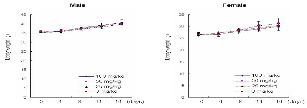 복강내 1회투여에 의한 체중의 변화