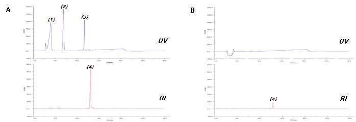 표지 반응 직후 [125 I]Iodo-FP6Y (A) 와 정제 후 [125 I]Iodo-FP6Y (B)의 HPLC chromatogram.