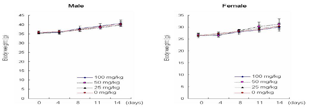 복강내 1회투여에 의한 체중의 변화