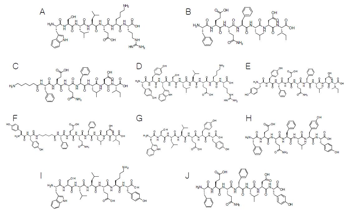 Heptapeptide 유도체들의 구조.