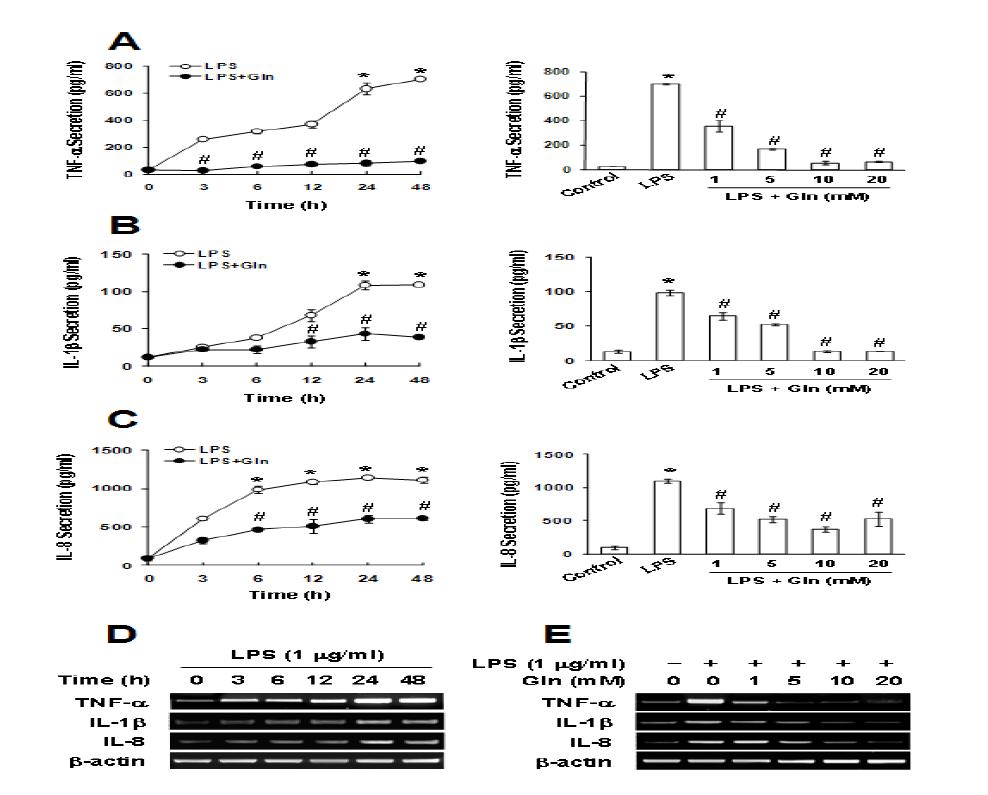 Effect of Gln on LPS-induced Cytokines Production. Gln was added to the HDPCs (2 x 106) 10min after LPS.