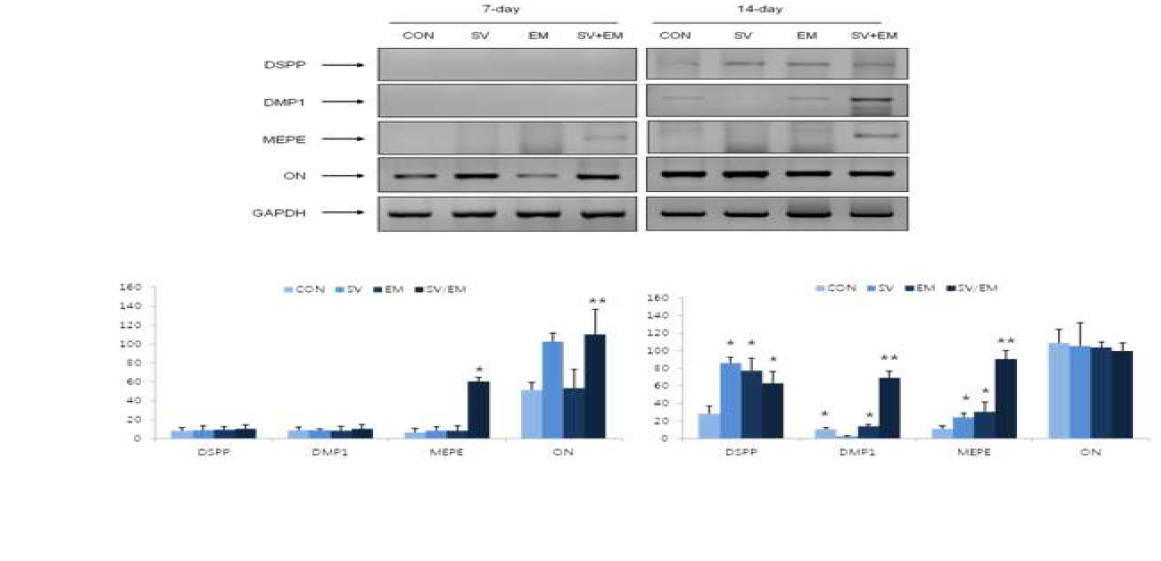 Effects of SV and/or EM on the expression of odontoblastic/osteoblastic markers in HDPCs.