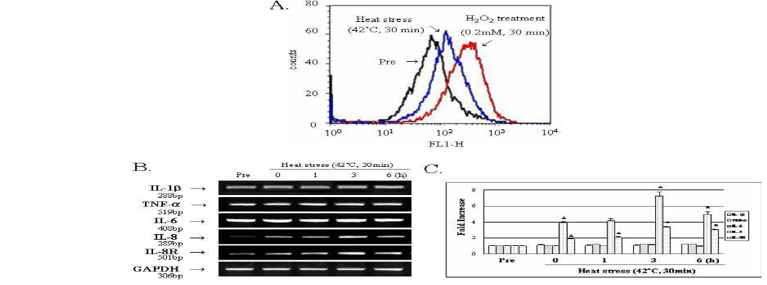 The effect of heat stress on the production of reactive oxygen species (A) and the expression of proinflammatory cytokines (B) in human dental pulp cells