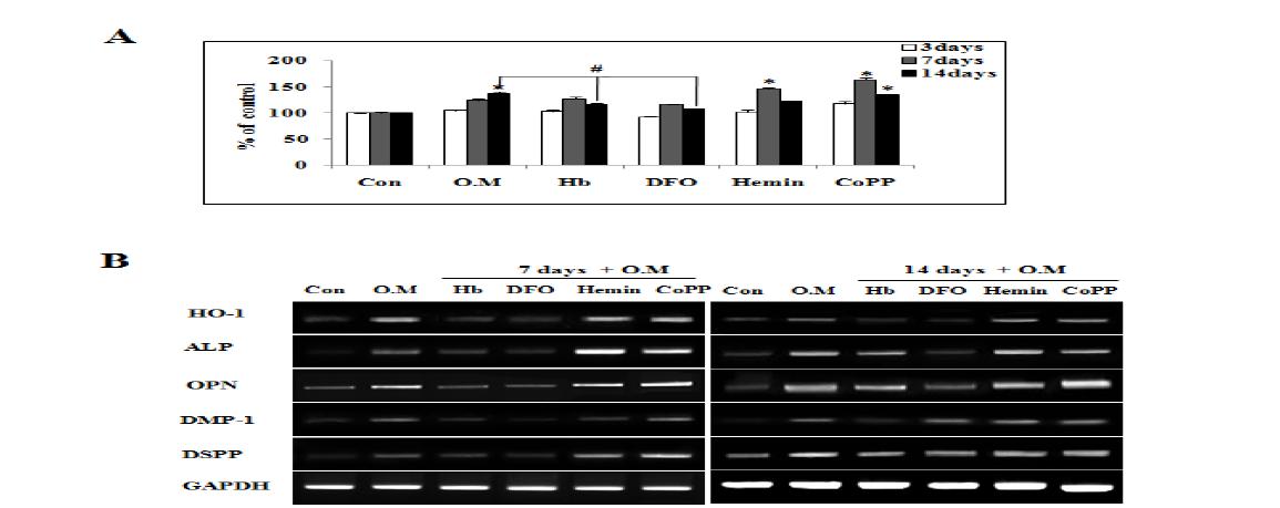 Effects of a CO scavenger, iron chelator, and HO-1 inducer on the viability (A) and odontoblastic differentiation (B) of HDPCs.