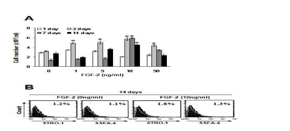 Effects of FGF-2 on growth (A) and stem cell property (B) in HDPCs.