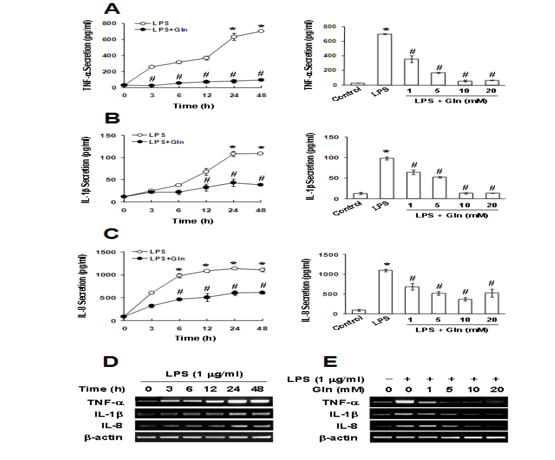 Effect of Gln on LPS-induced Cytokines Production. Gln was added to the HDPCs (2 x 106) 10 min after LPS.