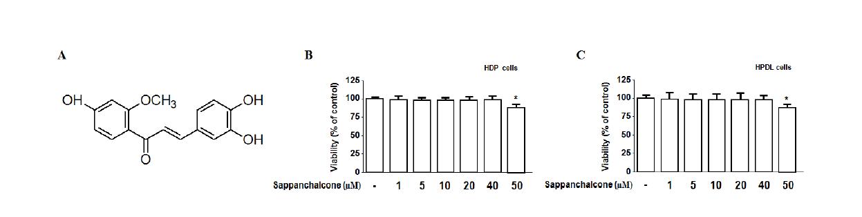 Chemical structure of sappanchalcone (A), effect of sappanchalcone on humandental pulp (HDP) (B) and human periodontal ligament (HPDL) cell viability (C). Values are means±S.D. of three experiments.