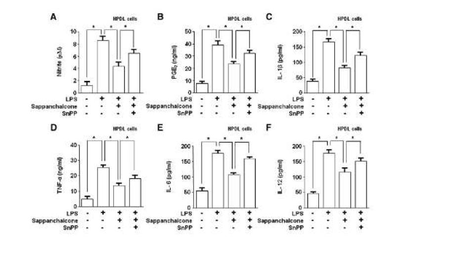 Involvement of HO-1 pathway on the anti-inflammatory effects of sappanchalcone in HPDL cells.