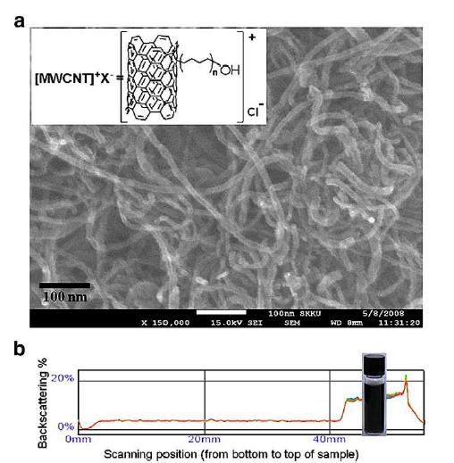 mCNT의 고분해능 이미지(a)와 탁도시험에 의한 THF에서의 안정적 분 산(b)을 보여줌.