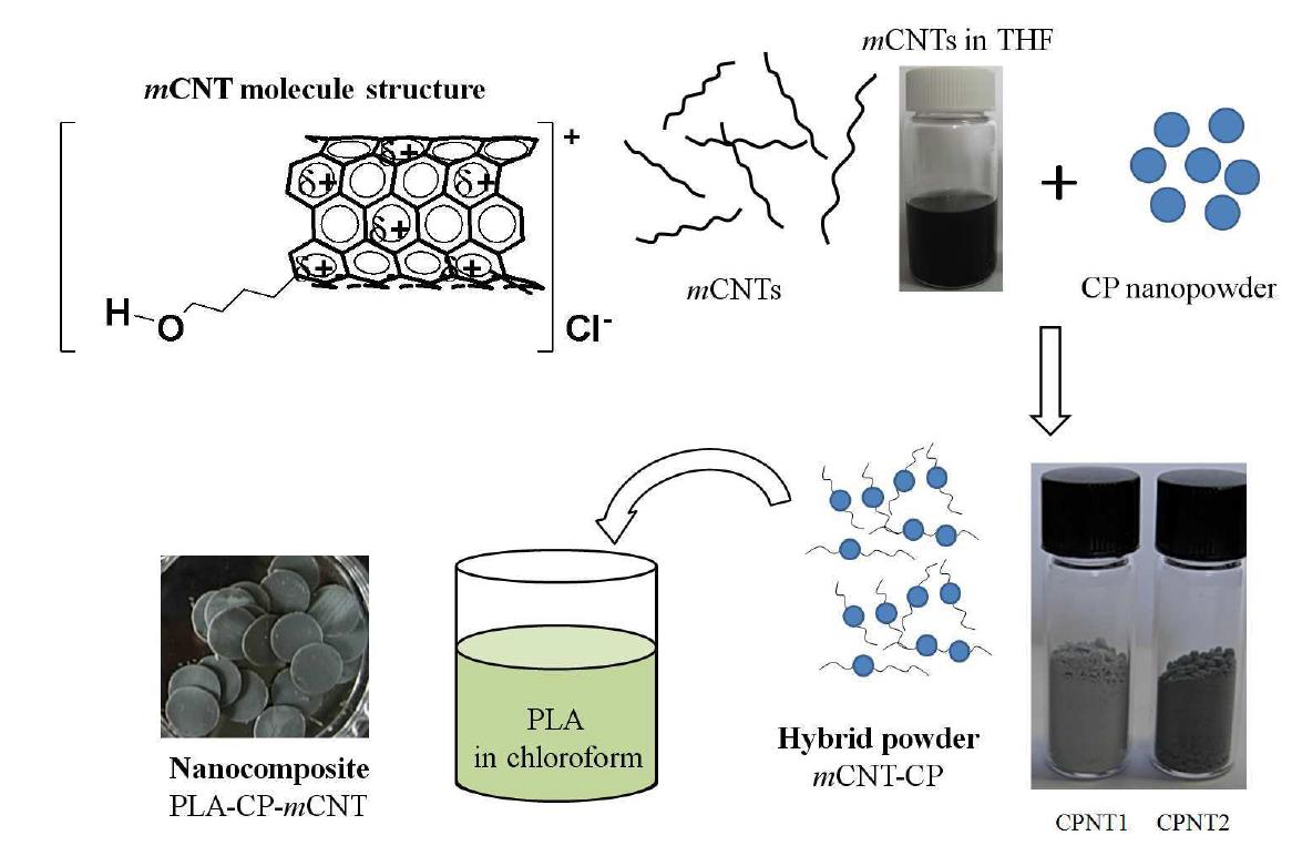 CNT-CP hybrid nanopowders 및 PLA nanocomposites 실험 모식도.