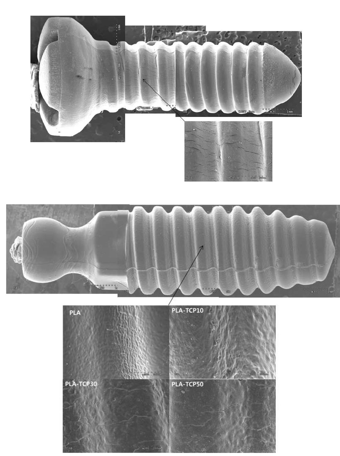 시판중인 Inion사(Finland)의 흡수성 골절합용 임플란트(위)와 시작한 흡수성 임플란트(아래)의 전체 및 표면 양상.