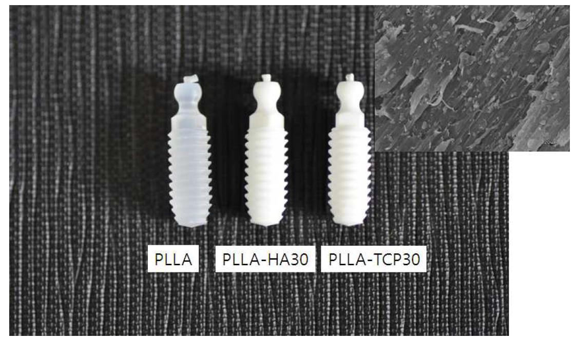 고강도 흡수성 PLLA, PLLA-HA30, PLLA-TCP30 시작품