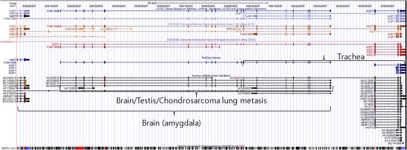 그림 2-3. Genome Browser에서 FLJ22374유전자를 중심으로 좌,우에 INMT와 AQP1유전자들과 fusion된 transcript들의 alignment