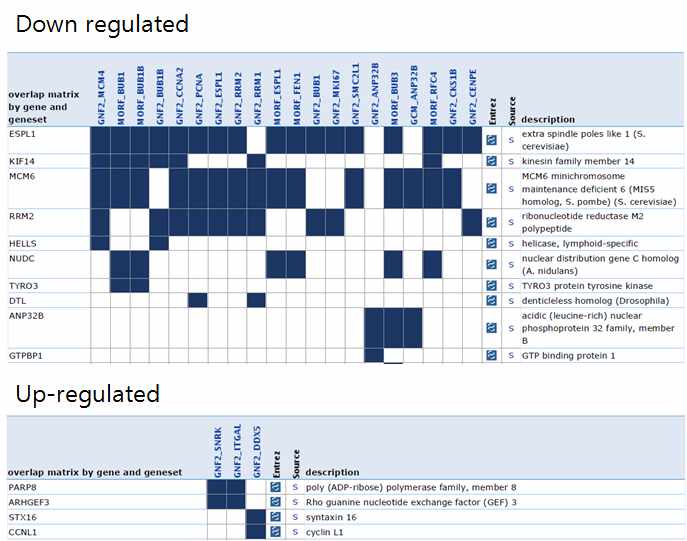 그림 2-24. GSEA (Gene set enrichment analysis)를 통하여 down-regulated gene과 up-regulated gene들의 cancer gene neighbor탐색 결과