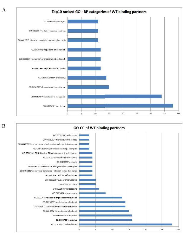 그림 2-38. FLJ22374 wild-type binding partner들의 gene ontology 분석결과