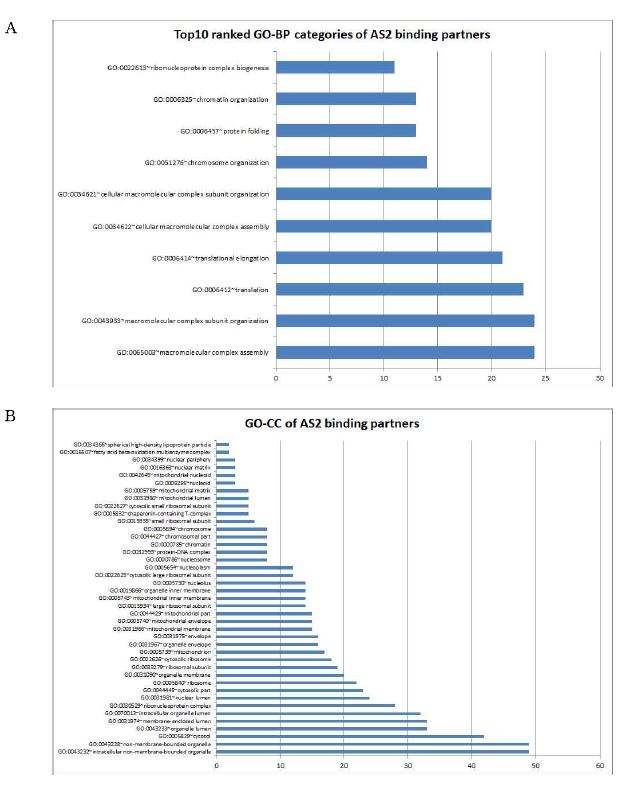 그림 2-40. FLJ22374 AS2 binding partner들의 gene ontology 분석결과