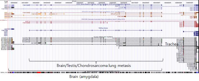 그림 2-51. FLJ22374와 AQP1을 포괄하는 genomic DNA sequence상에 read-through에 의한 fusion transcript들을 mapping한 결과